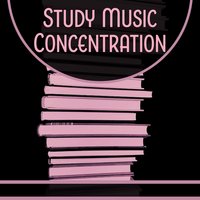 Cello Suite No. 2 in D Minor, BWV 1008: I. Prelude - Studying Music Group & Johann Sebastian Bach