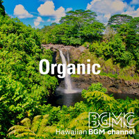 Home Grown - Hawaiian BGM channel