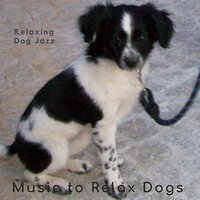 Relaxing Dog Jazz -6 - Music to Relax Dogs