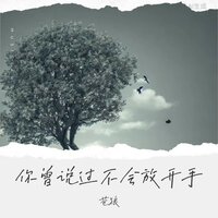 你曾说过不会放开手 - 苍狼