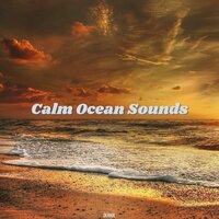 Rolling Ocean Wave Sounds - Derrol