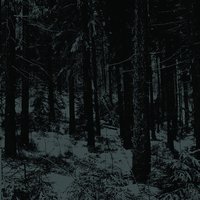Stille in Mir - Moloch