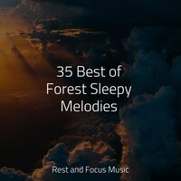 Tuned in - Tibetan Singing Bowls for Relaxation & Relaxed Minds & Trouble Sleeping Music Universe