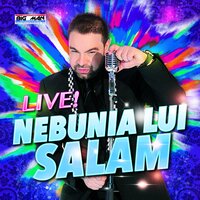 Tu Esti Jumatatea Mea - Florin Salam