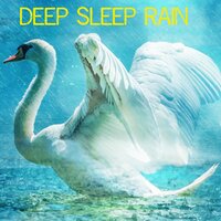 Rain at the Beach - Wellness Pur, Wellness Spa & Organic Nature Sounds & Organic Nature Sounds & Wellness Pur & Wellness Spa