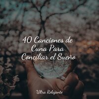 A La Deriva En Una Canoa - Mantra para Meditar & Meditación Maestro & Sueño Lucido