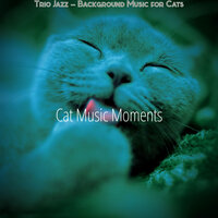 Energetic Kittens - Cat Music Moments
