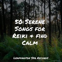 Unwind in the Tropics - Rain Sounds & White Noise & Relaxation Music Guru & Natural Sound Makers