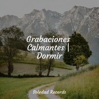 Besos De Sol - Musica Para Meditar y Relajarse & Musica para Dormir Dream House & Escola de Meditação