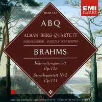 Clarinet Quintet in B minor, Op. 115: I.       Allegro - Sabine Meyer & Alban Berg Quartett & Иоганнес Брамс