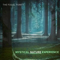 Slushy Waves - The Focal Pointt