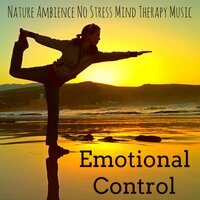 Calming Piano Music - Amelia System