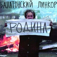 Блуждающий нерв - Балатонский Линкор