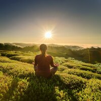 The Essence Of Deep Meditation - LoFi area & Mindfullness Meditation World & The Meditative State