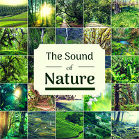 Relaxation and Meditation - Nature Caldwell