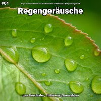 Regengeräusche, pt. 73 - Regen zum Einschlafen und Durchschlafen & Schlafmusik & Entspannungsmusik