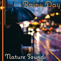 Clear Soul (Quiet Moments) - Zen Natural Sounds