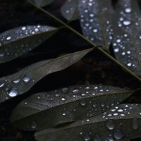 Rain From the Heavens - Meditation Music Experience & Ready Baby Music! & Lightning