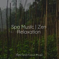 Taking Wing - Relaxing Mindfulness Meditation Relaxation Maestro & Especialistas de Musica para Dormir & Baby Sleep Lullaby Academy