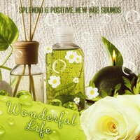 Clear the Mind - True Happiness Academy