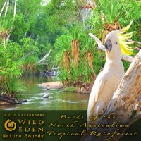Nínox Ladrador - Relaxing Nature Sounds