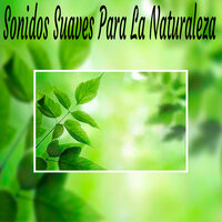 Pensar en Positivo - Sonidos suaves