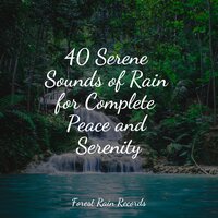White Noise Rainy Boats - Thunder Storm & Rainforest Sounds & Thunderstorms