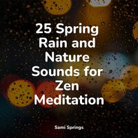 Drops of Rain - Natural Rain Sounds for Sleeping & Deep Sleep Brown Noise & Brain Study Music Guys