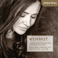 Wiegenlied - Seda Amir-Karayan & Götz Payer