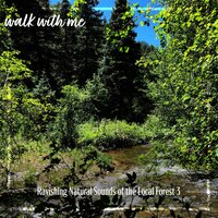 Ravishing Natural Sounds of the Local Forest, Pt. 20 - Daniel Dodik
