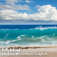 Soothing Ocean Waves Crashing on a Sandy Beach, Pt. 17 - Steve Brassel