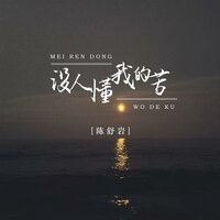 没人懂我的苦 - 陈舒岩