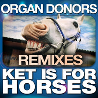 Ket Is for Horses - Organ Donors & Termal