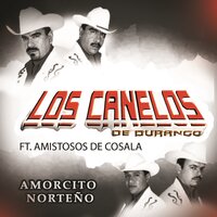 Amorcito Norteno - Los Canelos de Durango & Los Amistosos de Cosala
