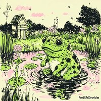 Katana Splash - the last frog samurai