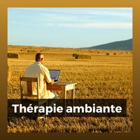 Musique Sophrologie - Zen Musique Détente