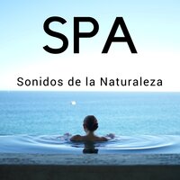 Musica Ambiente - Agua Mantra & Shakuhachi Sakano & Shakuhachi Sakano & Agua Mantra