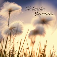 Orientalski Flavta - Profesor Relax