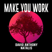 Make You Work - David Anthony & Natalis