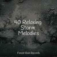 Rain in the Creek - The Sleep Specialist & Thunder and Rain Storm & Lightning