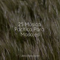 Vive Tu Vida - Dormir e Meditar & Natureza Musica Bem-Estar Academia & Naturaleza Relajacion