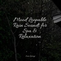 Windy, Gentle Rains - Baby Sleep & Meditação Yoga & Naturaleza Sonidos