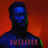 W.Y.T.a.M. - Neak