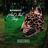 What Is That Thing - Hammad