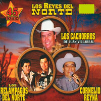 Vengo A Verte - Los Relampagos del Norte