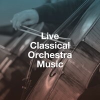 Horn Concerto No. 4 in E-Flat Major, K. 495: II. Romance: Andante Cantabile - Capella Istropolitana & Jozef Kopelman & Milos Stevove & Вольфганг Амадей Моцарт