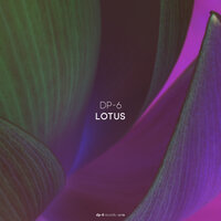 Lotus - DP-6