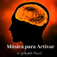Energía Positiva - Meditation Music Zone