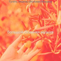 Мечты (Осень) - большой Осенняя музыка