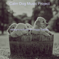 Spirited Moods for Walking Doggies - Calm Dog Music Project